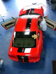 Mustang Rally Stripes